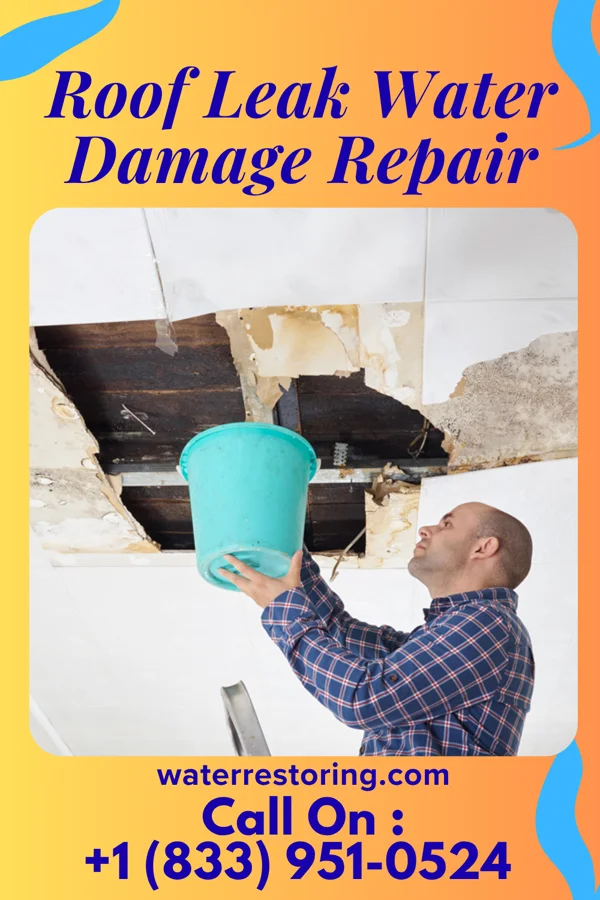 Roof Leak Water Damage Repair in Viola, KS