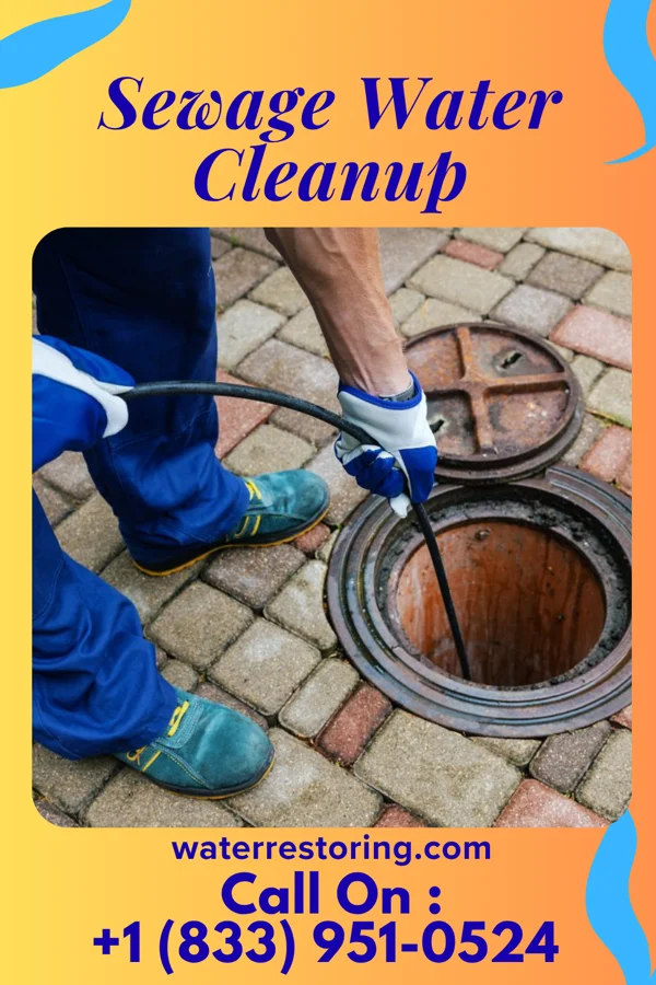 Sewage Water Cleanup in Viola, KS