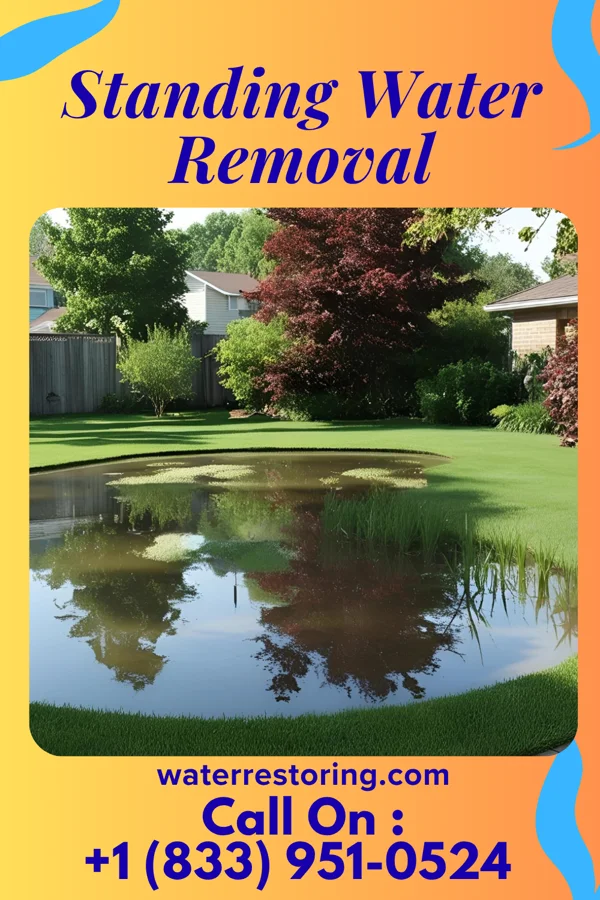 Standing Water Removal in Viola, KS